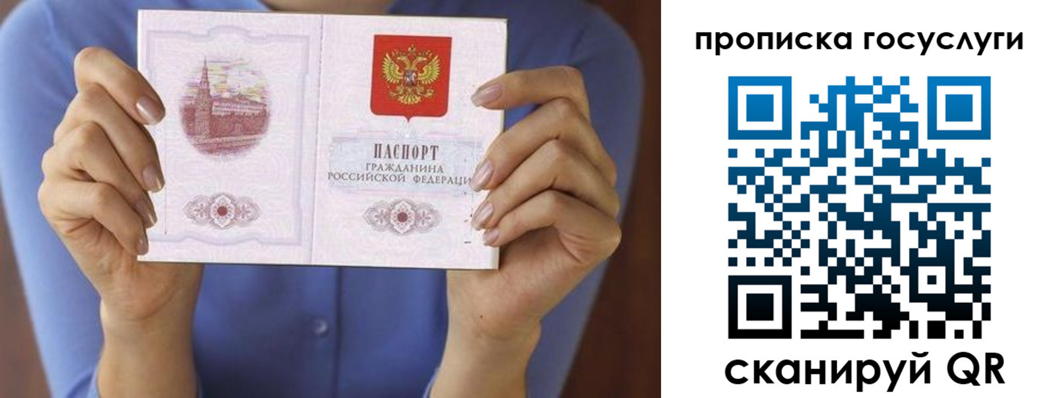 временная регистрация поиск в Йошкар-Оле